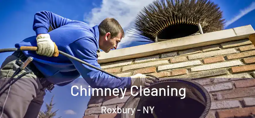  Chimney Cleaning Roxbury - NY