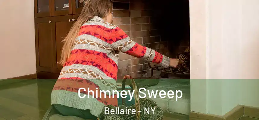  Chimney Sweep Bellaire - NY