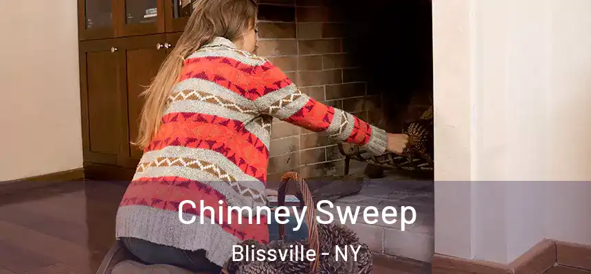  Chimney Sweep Blissville - NY