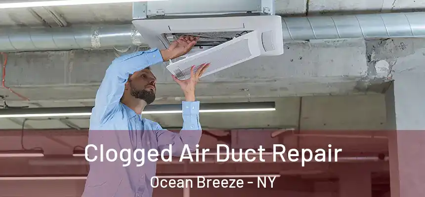  Clogged Air Duct Repair Ocean Breeze - NY