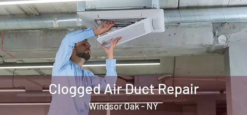  Clogged Air Duct Repair Windsor Oak - NY
