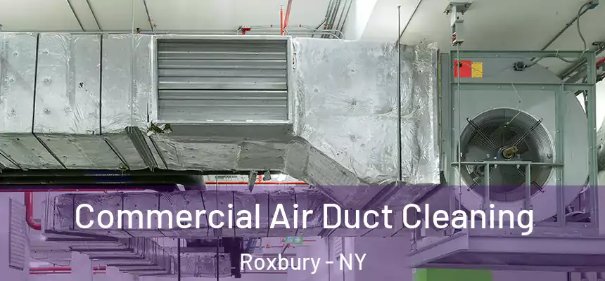  Commercial Air Duct Cleaning Roxbury - NY