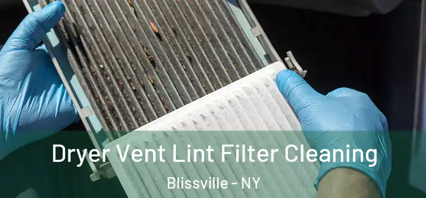 Dryer Vent Lint Filter Cleaning Blissville - NY