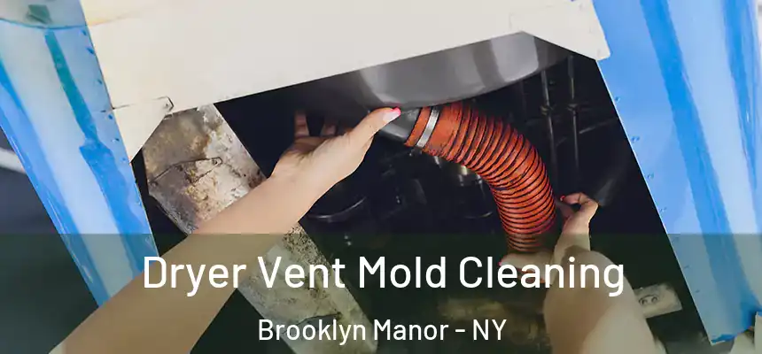  Dryer Vent Mold Cleaning Brooklyn Manor - NY