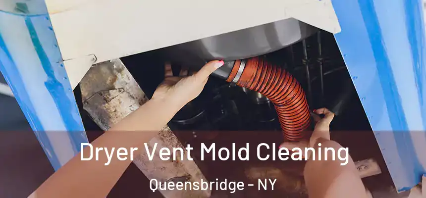  Dryer Vent Mold Cleaning Queensbridge - NY