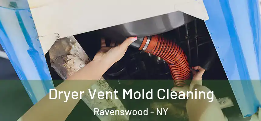  Dryer Vent Mold Cleaning Ravenswood - NY