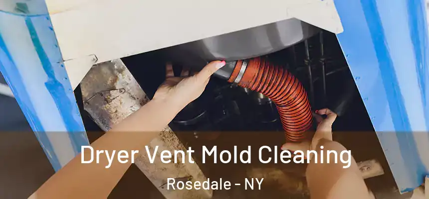  Dryer Vent Mold Cleaning Rosedale - NY