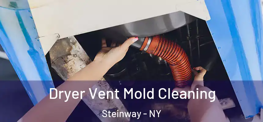 Dryer Vent Mold Cleaning Steinway - NY