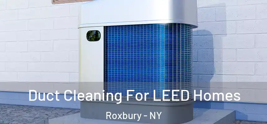  Duct Cleaning For LEED Homes Roxbury - NY
