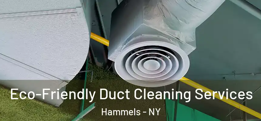  Eco-Friendly Duct Cleaning Services Hammels - NY