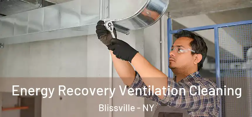  Energy Recovery Ventilation Cleaning Blissville - NY