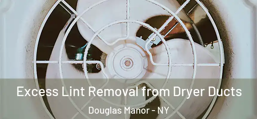  Excess Lint Removal from Dryer Ducts Douglas Manor - NY