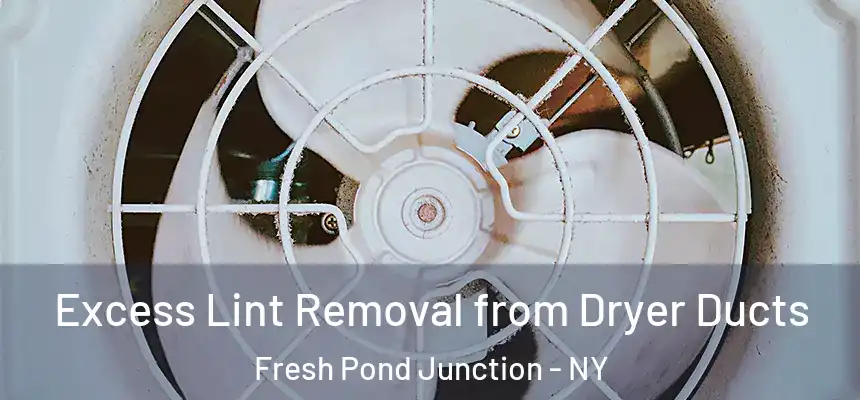  Excess Lint Removal from Dryer Ducts Fresh Pond Junction - NY