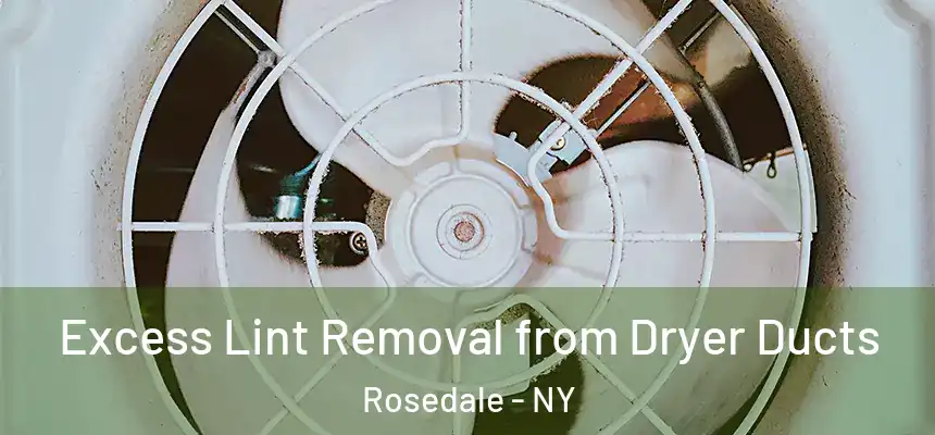  Excess Lint Removal from Dryer Ducts Rosedale - NY