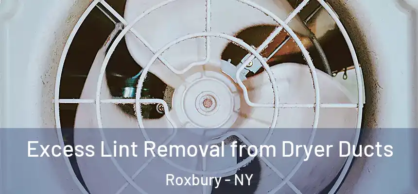  Excess Lint Removal from Dryer Ducts Roxbury - NY