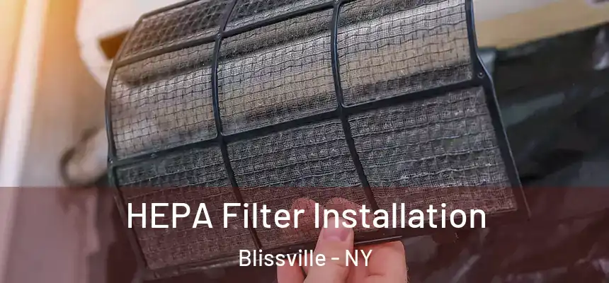  HEPA Filter Installation Blissville - NY