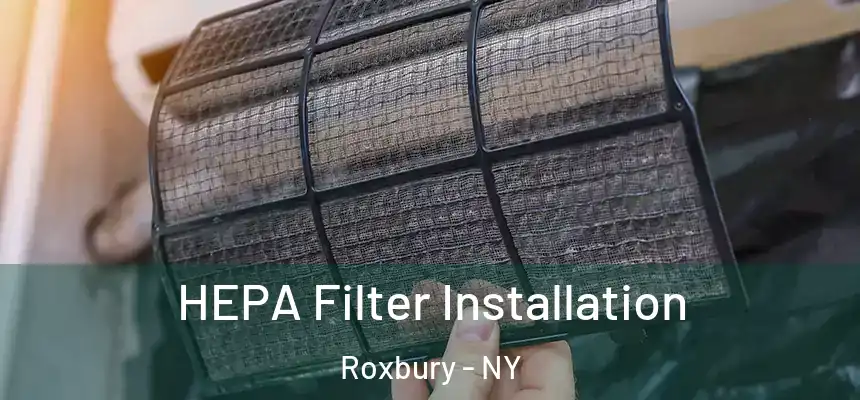 HEPA Filter Installation Roxbury - NY