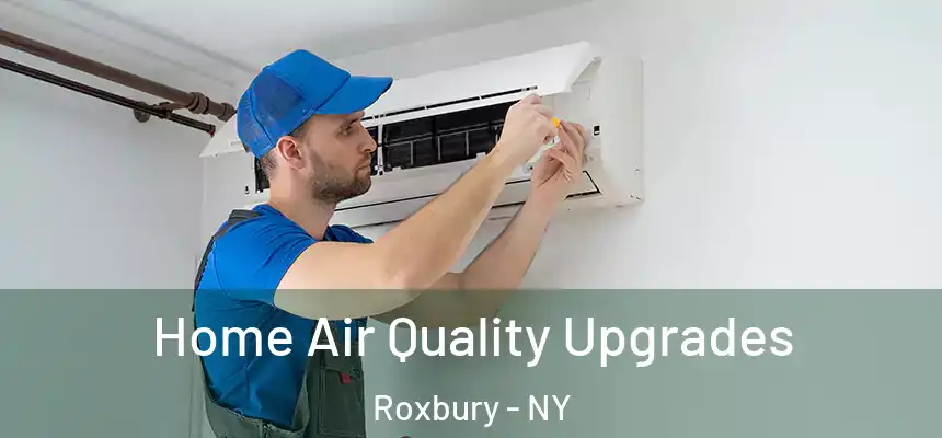  Home Air Quality Upgrades Roxbury - NY