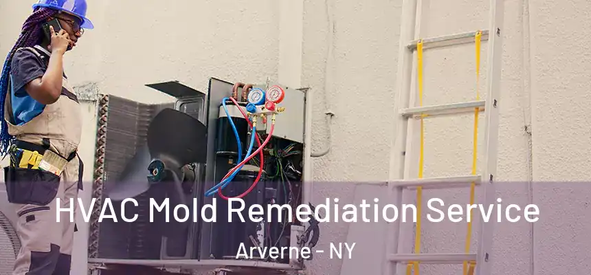 HVAC Mold Remediation Service Arverne - NY