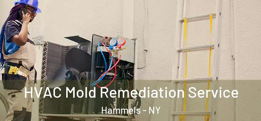 HVAC Mold Remediation Service Hammels - NY
