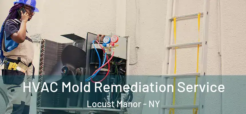 HVAC Mold Remediation Service Locust Manor - NY
