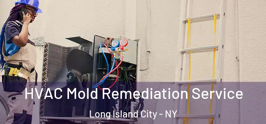  HVAC Mold Remediation Service Long Island City - NY