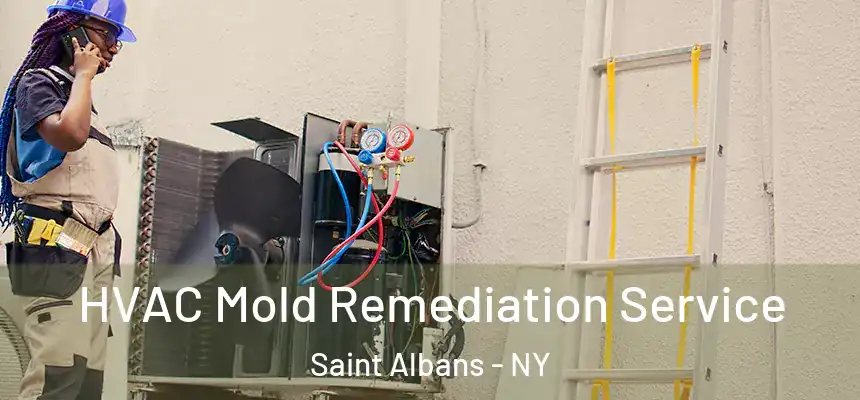  HVAC Mold Remediation Service Saint Albans - NY