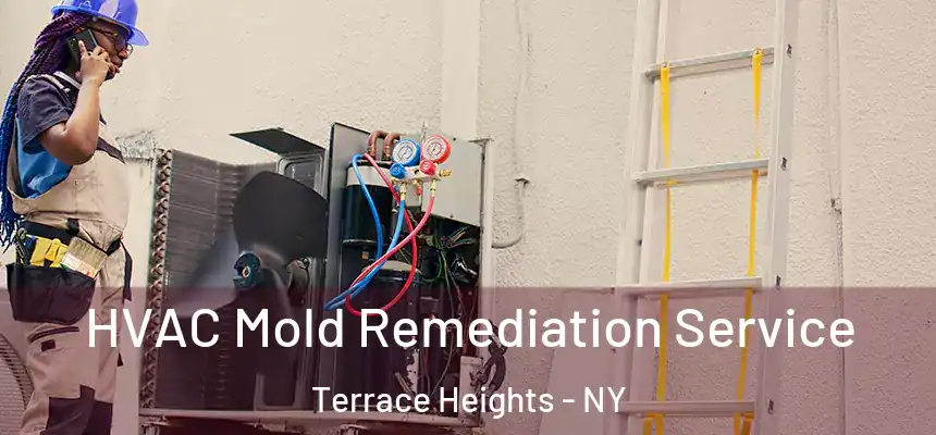  HVAC Mold Remediation Service Terrace Heights - NY