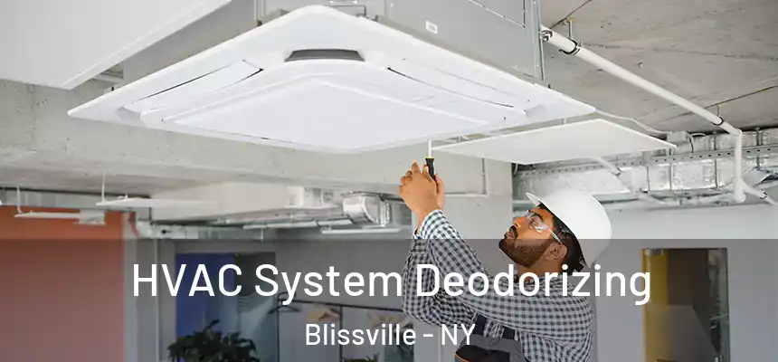  HVAC System Deodorizing Blissville - NY