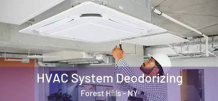  HVAC System Deodorizing Forest Hills - NY