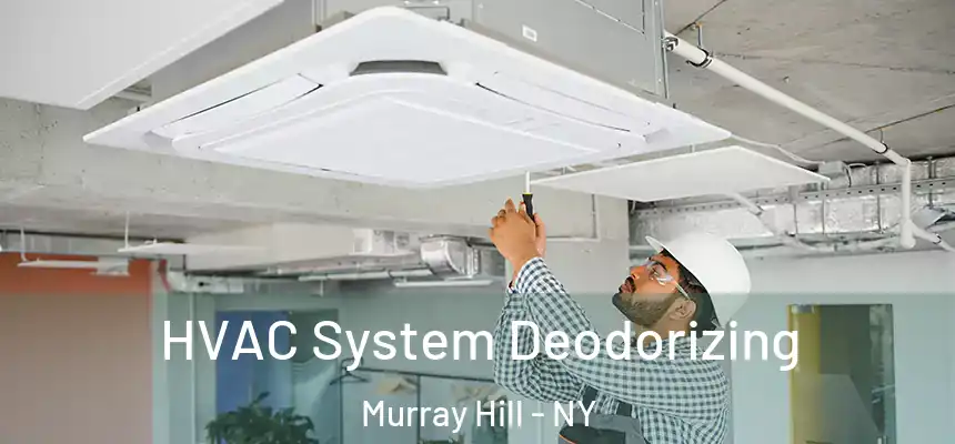  HVAC System Deodorizing Murray Hill - NY