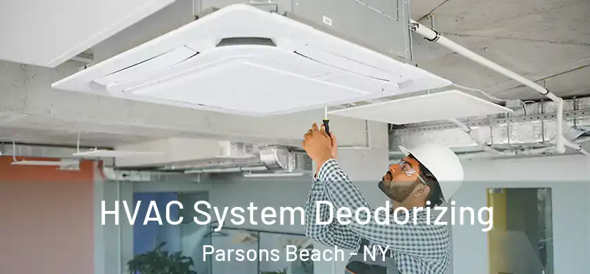  HVAC System Deodorizing Parsons Beach - NY
