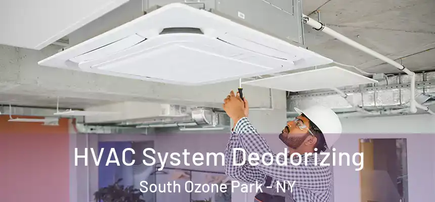  HVAC System Deodorizing South Ozone Park - NY