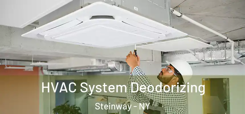  HVAC System Deodorizing Steinway - NY