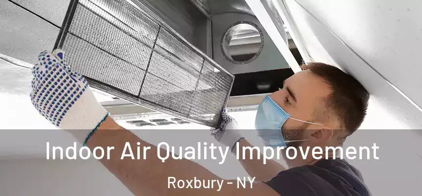  Indoor Air Quality Improvement Roxbury - NY