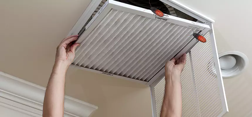 Preventive Cockroach-Proofing for Ducts in Queens