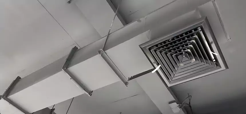 Our Rodent Droppings In Vents Services in Queens, NY