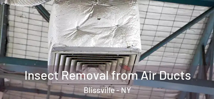  Insect Removal from Air Ducts Blissville - NY