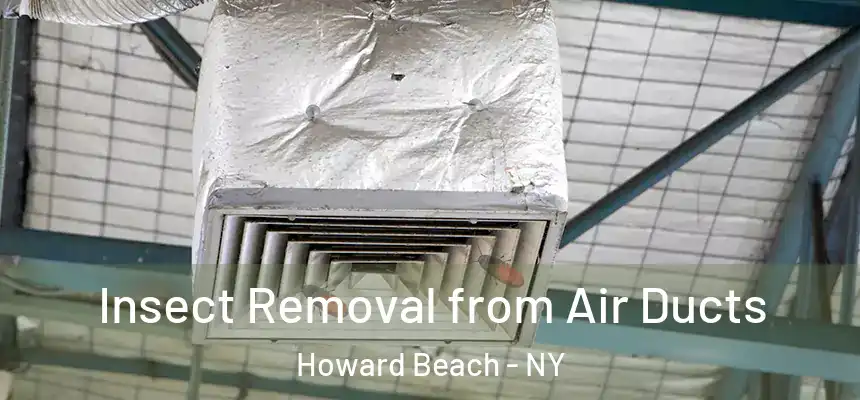  Insect Removal from Air Ducts Howard Beach - NY