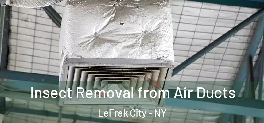  Insect Removal from Air Ducts LeFrak City - NY