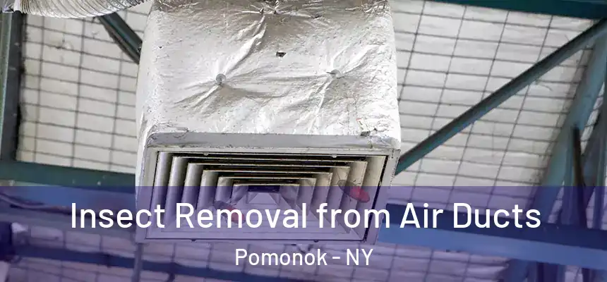 Insect Removal from Air Ducts Pomonok - NY