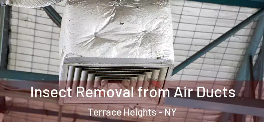 Insect Removal from Air Ducts Terrace Heights - NY