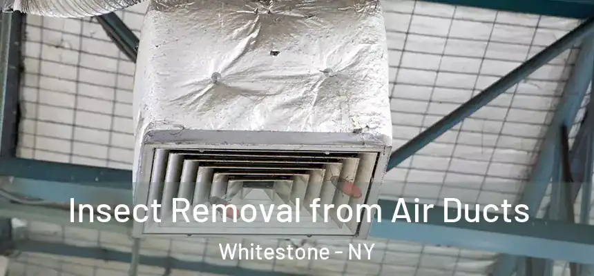  Insect Removal from Air Ducts Whitestone - NY