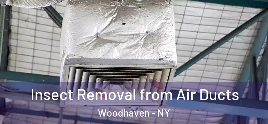  Insect Removal from Air Ducts Woodhaven - NY