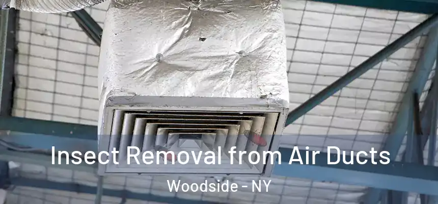 Insect Removal from Air Ducts Woodside - NY