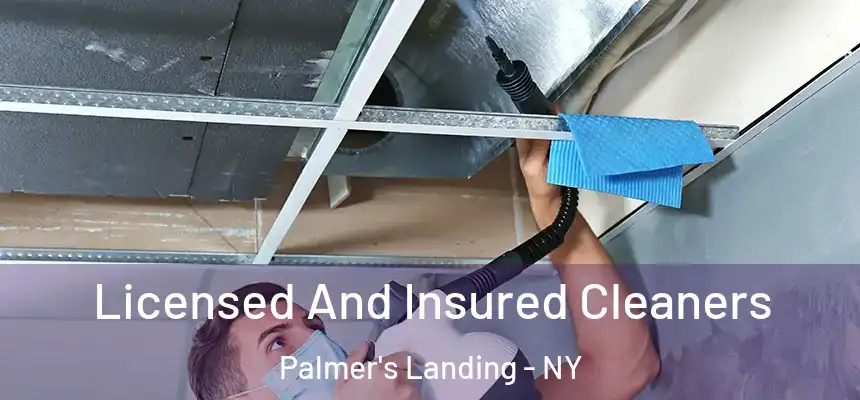  Licensed And Insured Cleaners Palmer's Landing - NY