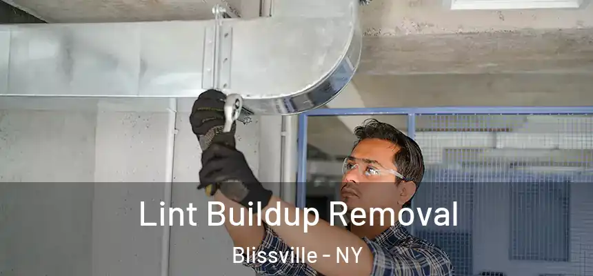  Lint Buildup Removal Blissville - NY