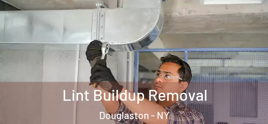  Lint Buildup Removal Douglaston - NY
