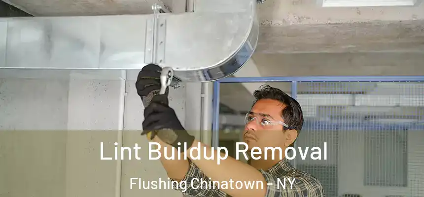  Lint Buildup Removal Flushing Chinatown - NY