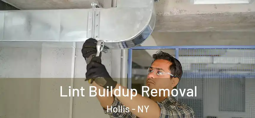  Lint Buildup Removal Hollis - NY